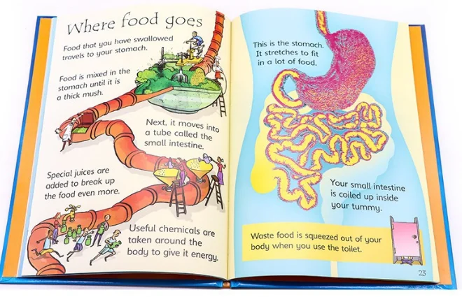  Оптовая продажа детская книга рассказов для начинающих usborne набор из 10