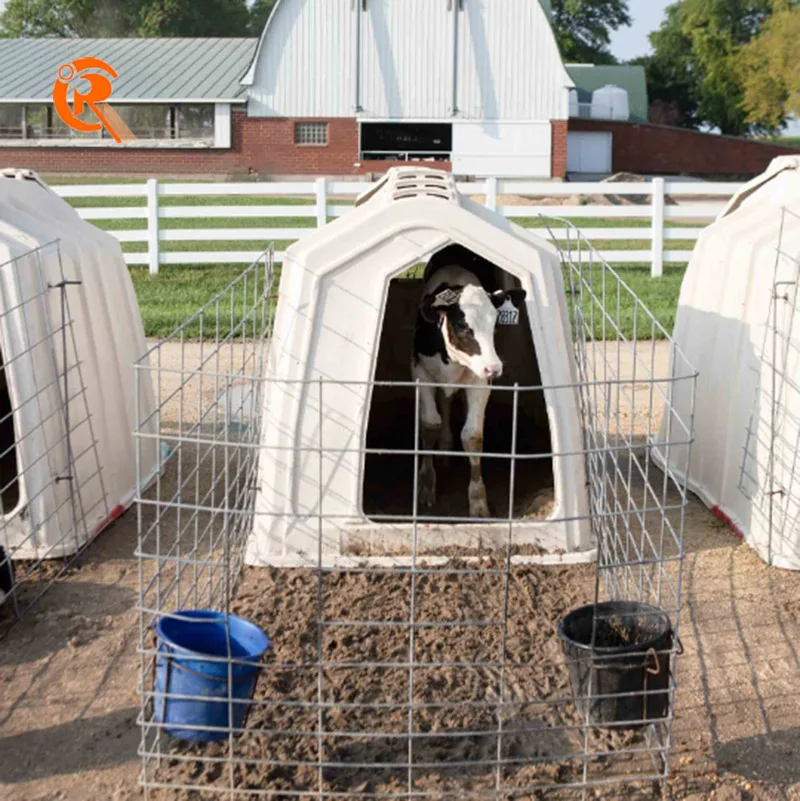 Outdoor Plastic Cattle Shed Baby Cow Calf Hutches with Steel Fencing