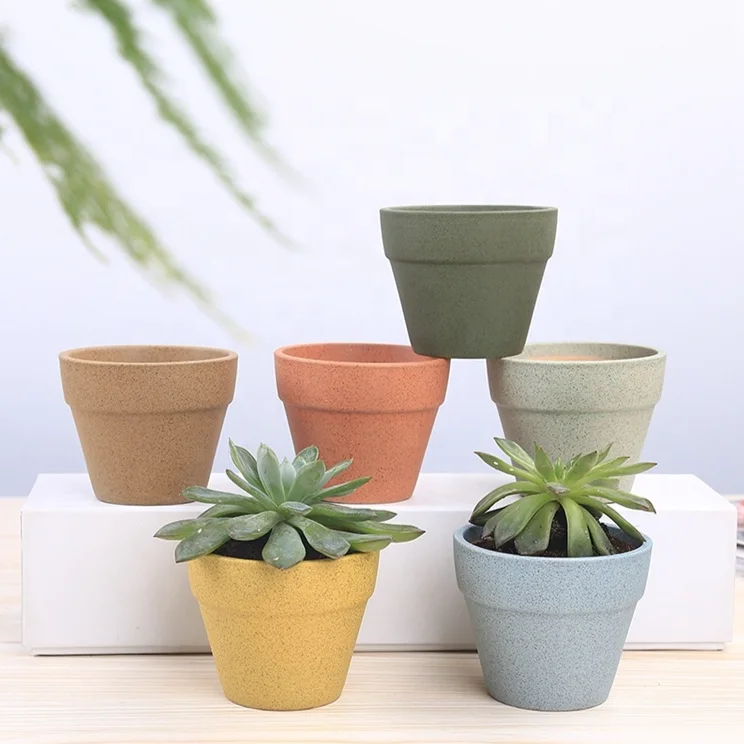 Colorful Macaron Contracted Green Plant More Breathable Ceramic Succulent Plants Terracotta Flowerpot