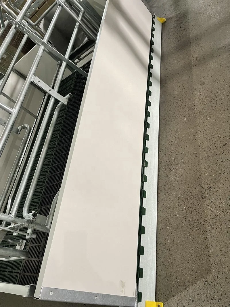 sow farrowing crate19