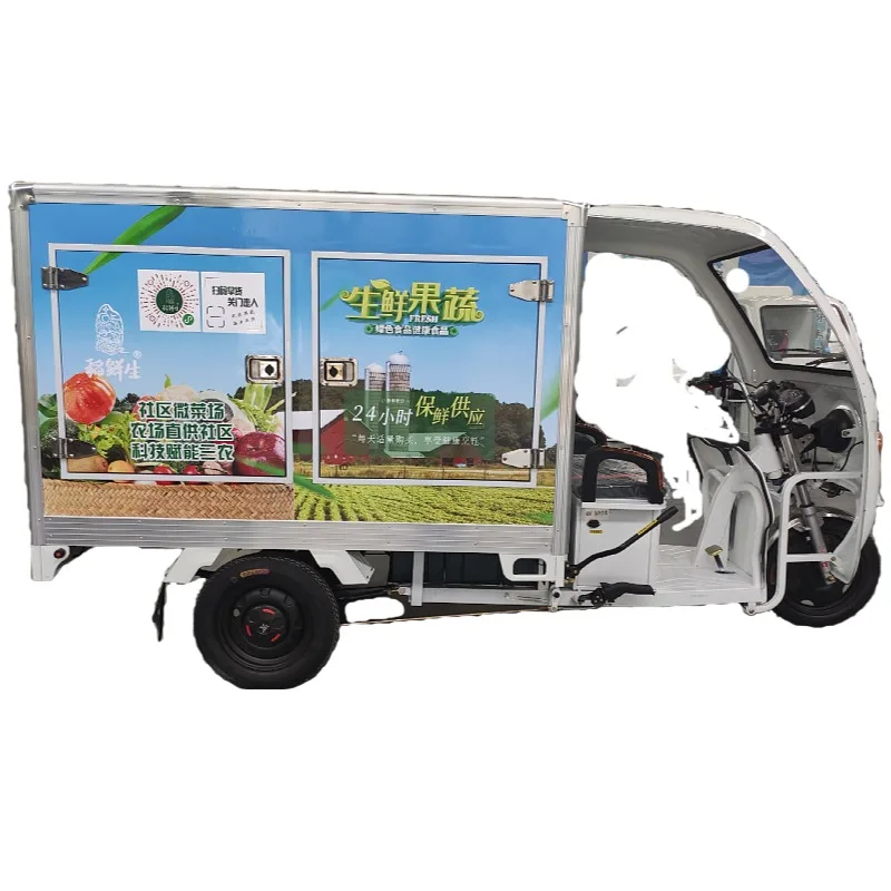 Dc Powered Electric Refrigerating Tricycle Box Cargo Use Tricycle Refrigerated With Refrigerator