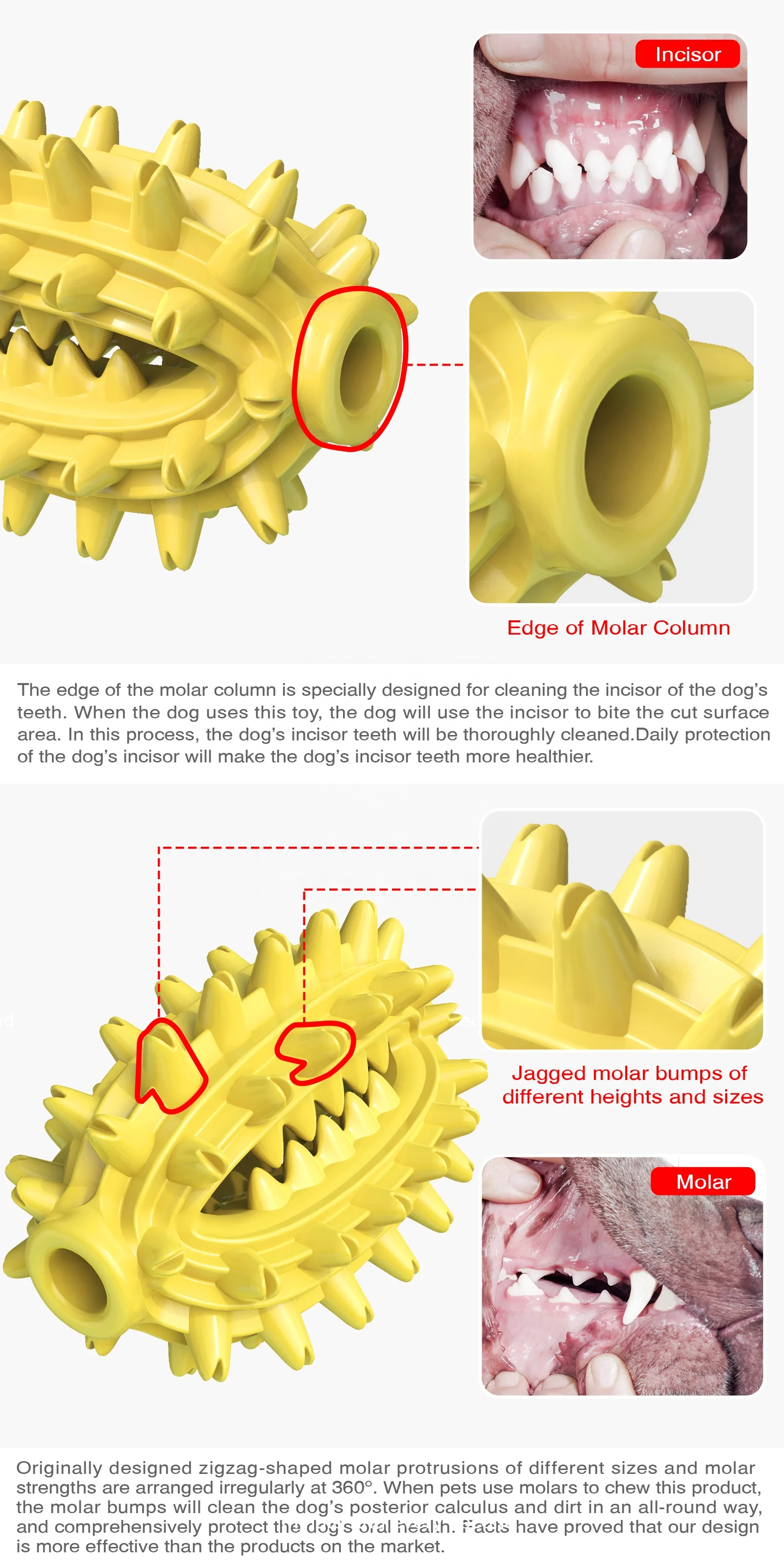 factory wholesales dog Chew Toy Cactus shape Rubber silicone Slow Leakage Food  pet dog teeth cleaning toy ball dog toothbrush