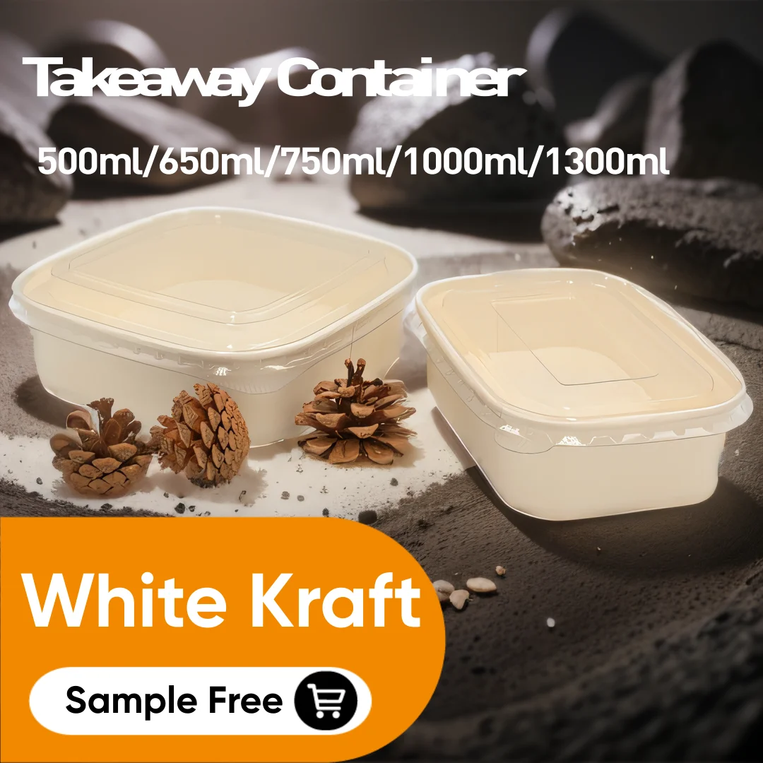 Rectangle Salad Box 100% Recyclable Food Grade Paper Bowl for Lunch Disposable with Lid of PET/PP Material Taking Away Easy Usin