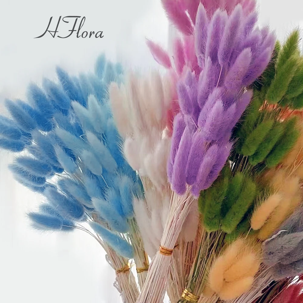 Hfloral Wholesale Bouquet dried flowers wedding decoration design party flower arrangement preserved forever Lagurus ovatus