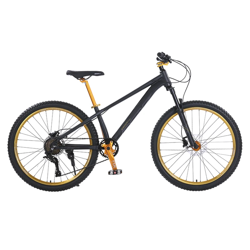 Aluminium Alloy 2.35 Black Tire 26 inch New Color Design Bicicleta Adult Trek Mountain Bike BMX Bicycle for Heavy Ersin