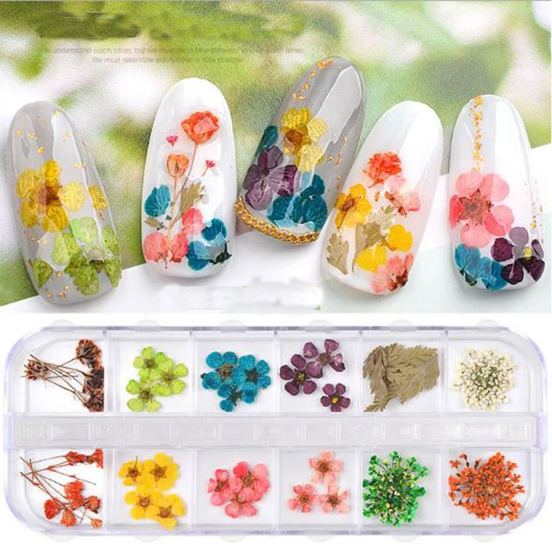 China Factory 12pcs/Box Nail Dried Flowers Multi Colors Natural Pressed Dry Flower Decoration Mini Nail Art Dried Flower
