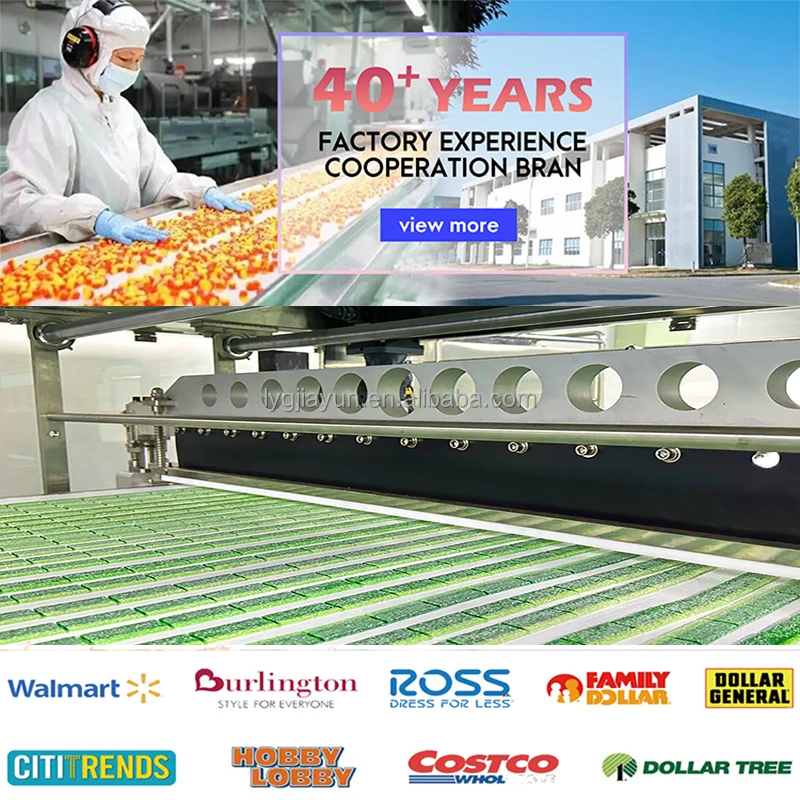 HACCP Wholesale Candy Suppliers Halal Popular Gummy Candy Novelty Taco Shape Sweet Flavour Chewy Soft Gummy