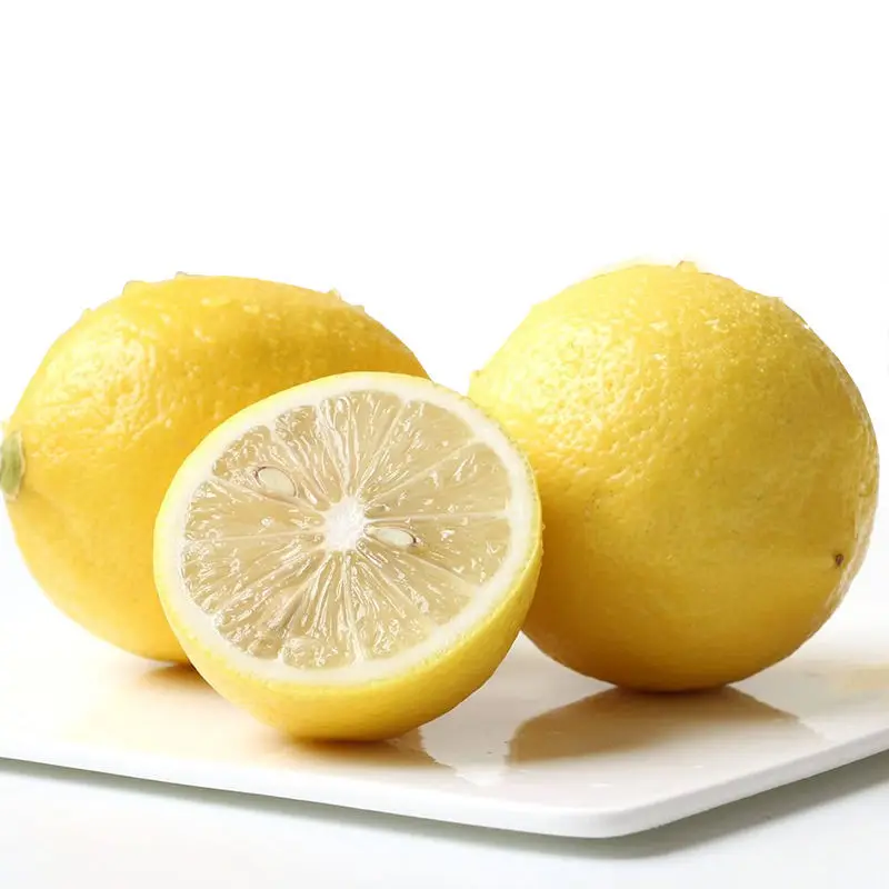 wholesale high quality citrus fruit fresh Lemon