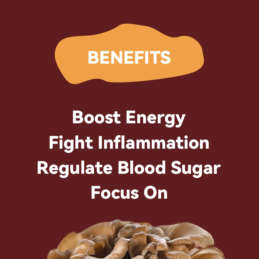 10:1 Reishi Chaga Mushroom Mix Extract Powder Turkey Tail Mushroom Powder Organic Maitake Shiitake Mushroom Blend Extract Powder