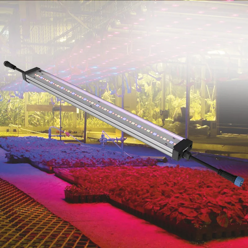 Full Spectrum Indoor Plant 40W 65W Quantum LED tube LED Grow Light tube Grow Lights Uv Ir Lm301b