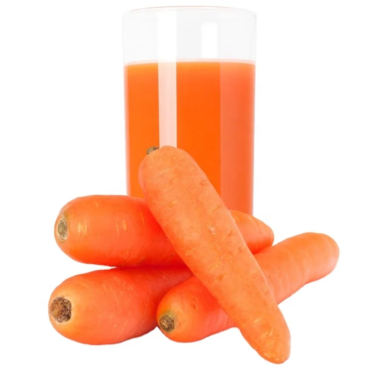 
China best nutrition Fresh Red carrot 