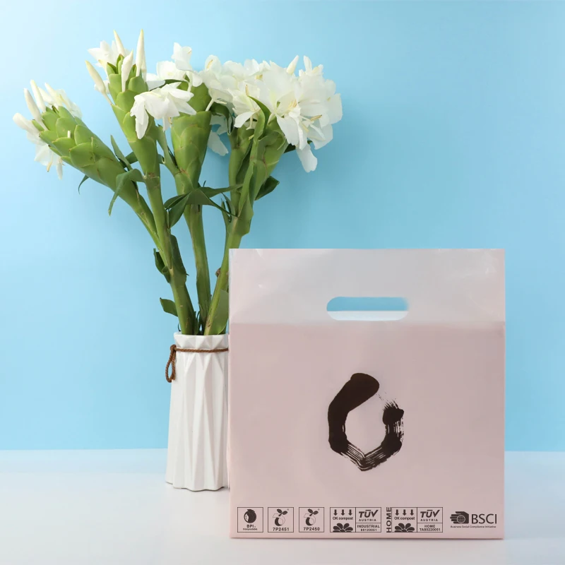 Wholesale Custom Printed Customized LDPE/HDPE /PLA Eco Friendly handle plastic die cut shopping bag