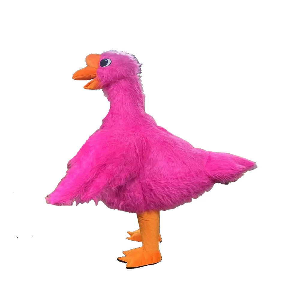 Новый дизайн 2 м 6 3