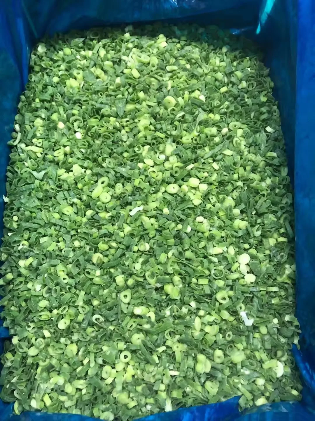 Whole Good Quality IQF Spring Onion Cuts/Sliced China Frozen Vegetable
