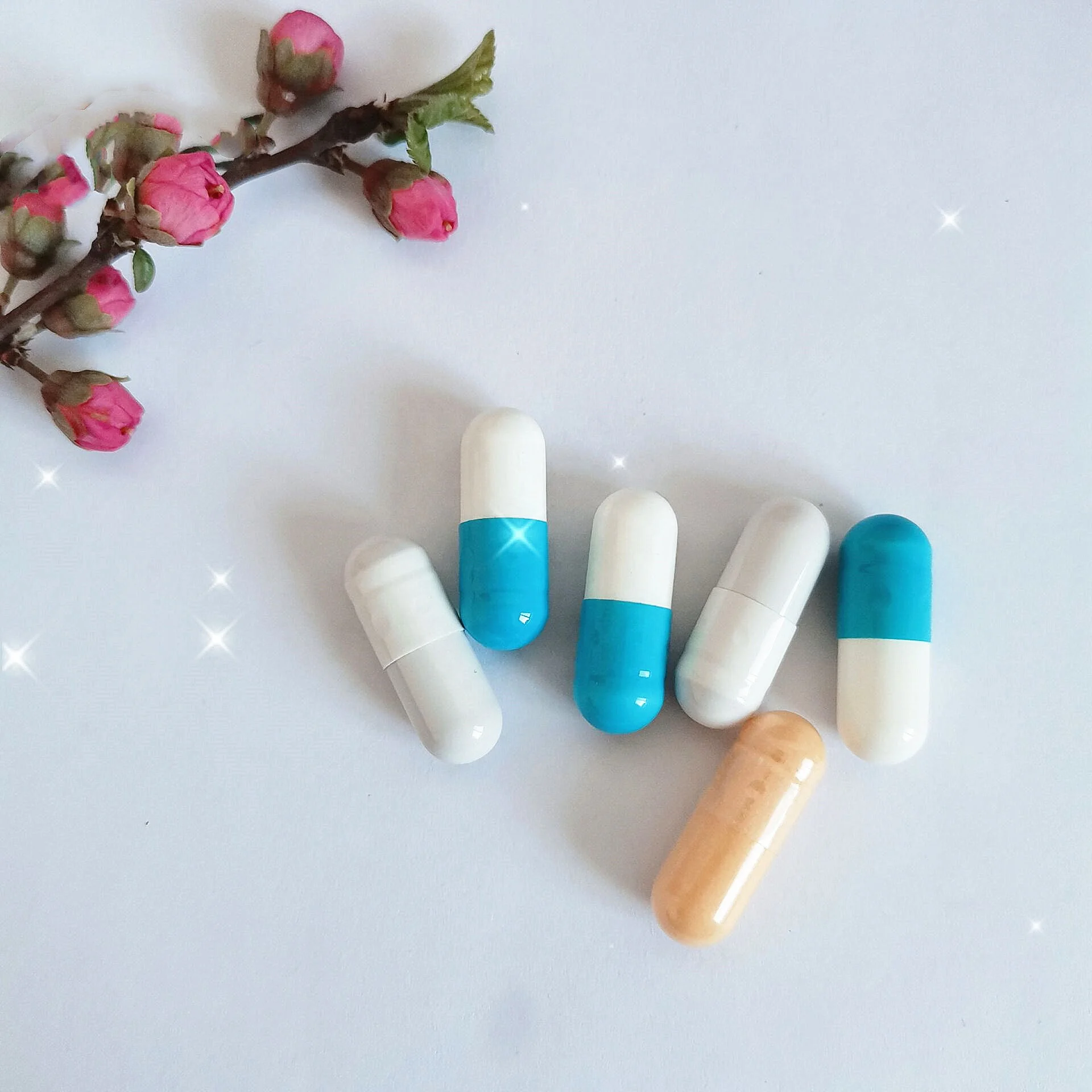 Private Label Nutrition Supplements Organic Milk Thistle Capsule In Herbal Supplement