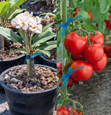 Heavy Duty Stretch Garden Tie Tape  Green Plant Tape