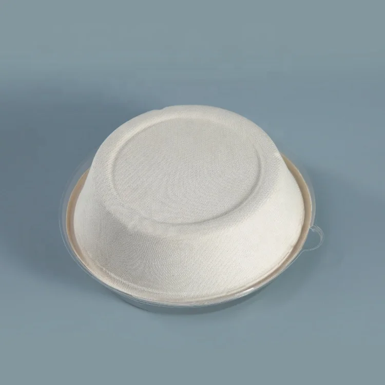 bio degradable packing oval serving tray sugarcane plates bagasse bowls