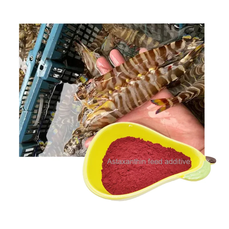 1% Biosynthetic Astaxanthin Strong Antioxidant Nutritional Value Aquatic Feed Additive For Promoting Fish Growth Aquaculture