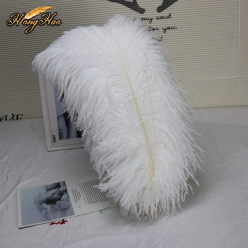 Wholesale 15-80cm Large White Natural Ostrich Feathers Dyed Pattern for Wedding Carnival Centerpieces Kits
