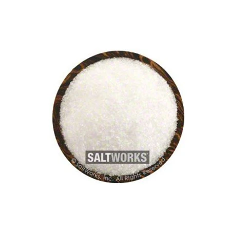 SaltWorks Pacific Blue Micro Grain Premium Sea Salt, Bulk Gourmet Salt