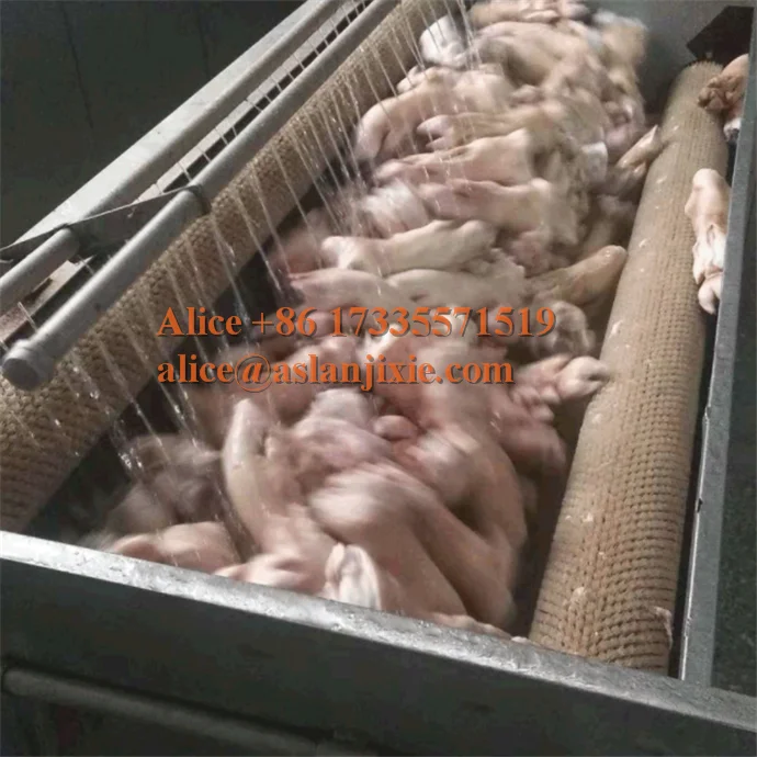 MSQX brush washer29.png