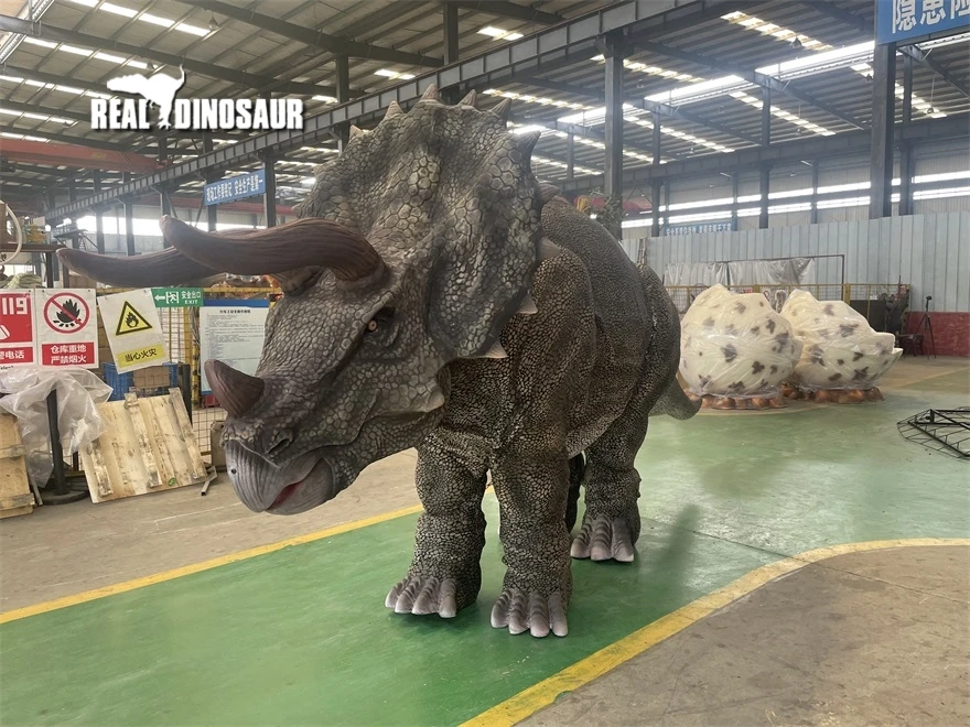 Adventure park realistic triceratops dinosaur costume for two performer