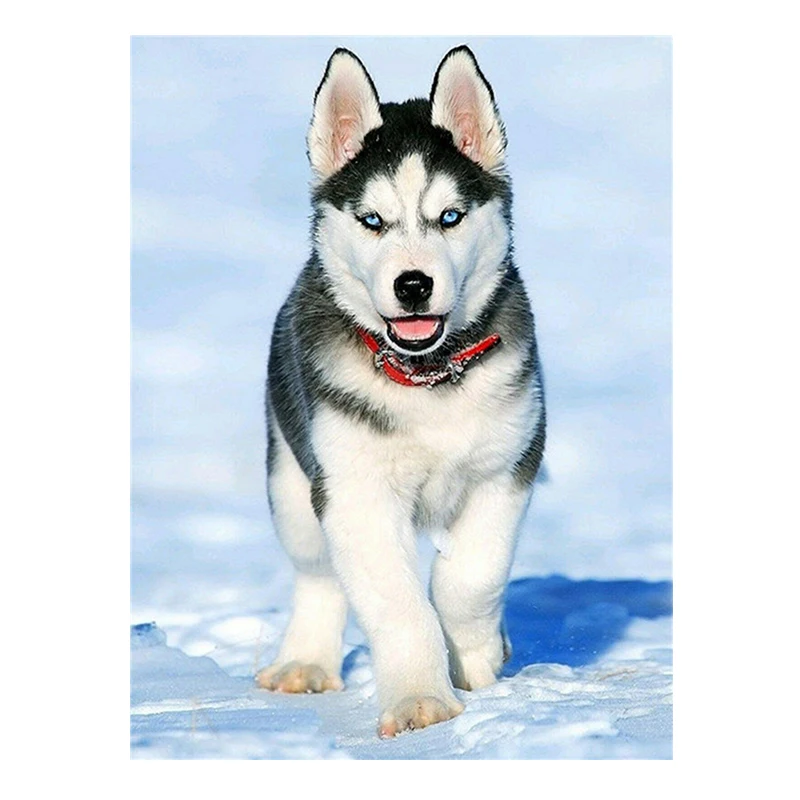 
Snow husky dog animal diamond painting full round diamond DIY cross stitch kit Home Decoration 
