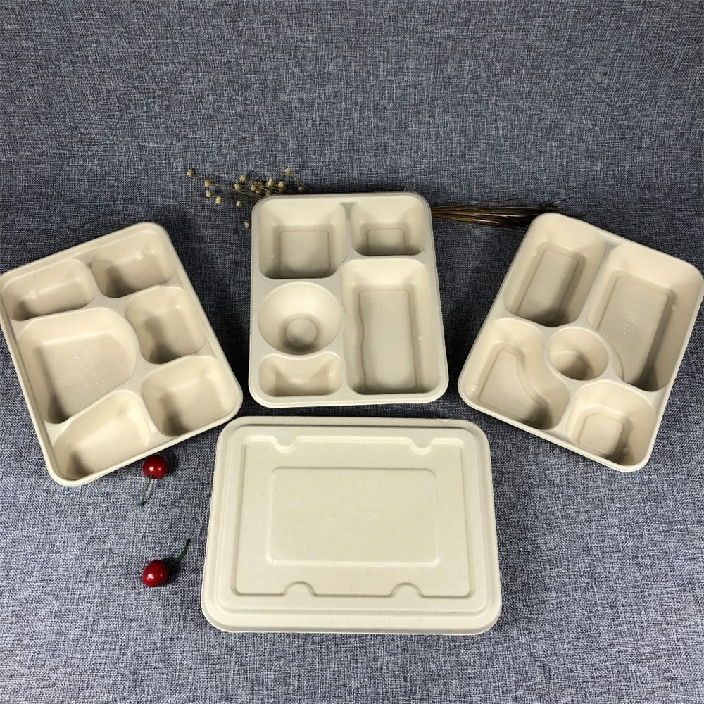 X23 Promotion 15%off 1 bio degradable sugarcane bagasse food container biodegradable disposable compostable 4 compartment