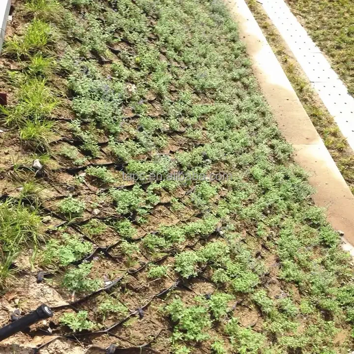 Smooth HDPE Geocell for Outdoor Slope Stabilization Retaining Wall Competitive Price