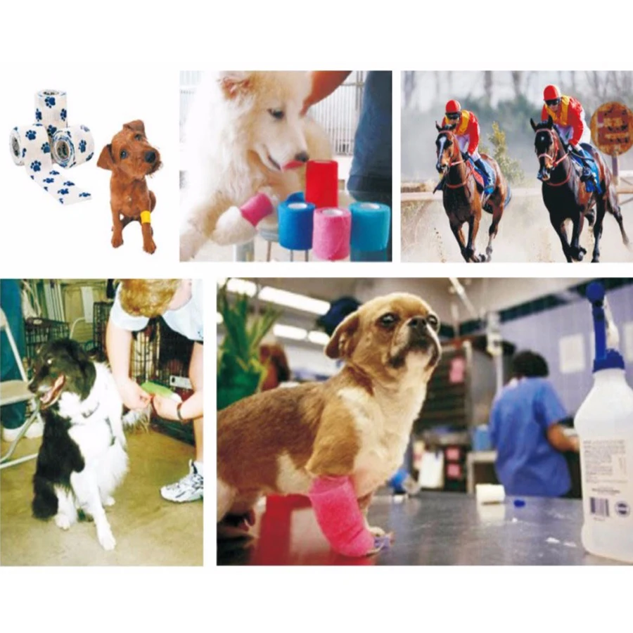 Non Woven Self-adhesive Elastic Bandage for Dog Vet Animals Use Bandage