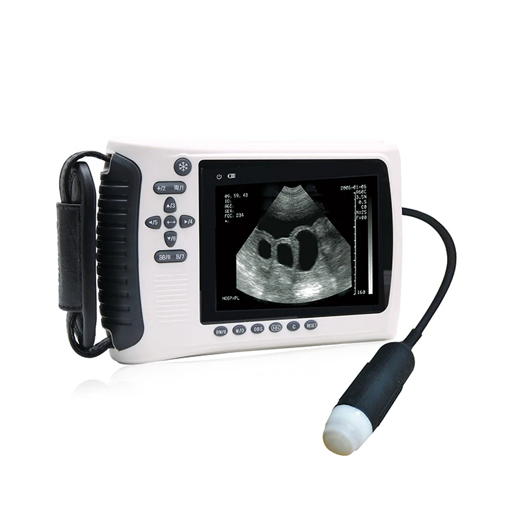 Ultrasound Vet Ultrasound Machine Portable Vet Blind Zone ≤8mm Portable Ultrasound Scan For Vet