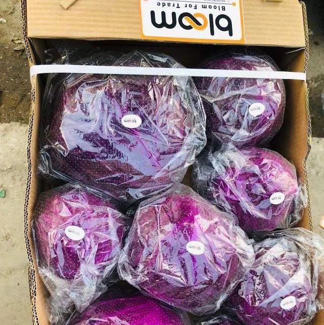 Cabbage from our bloom company