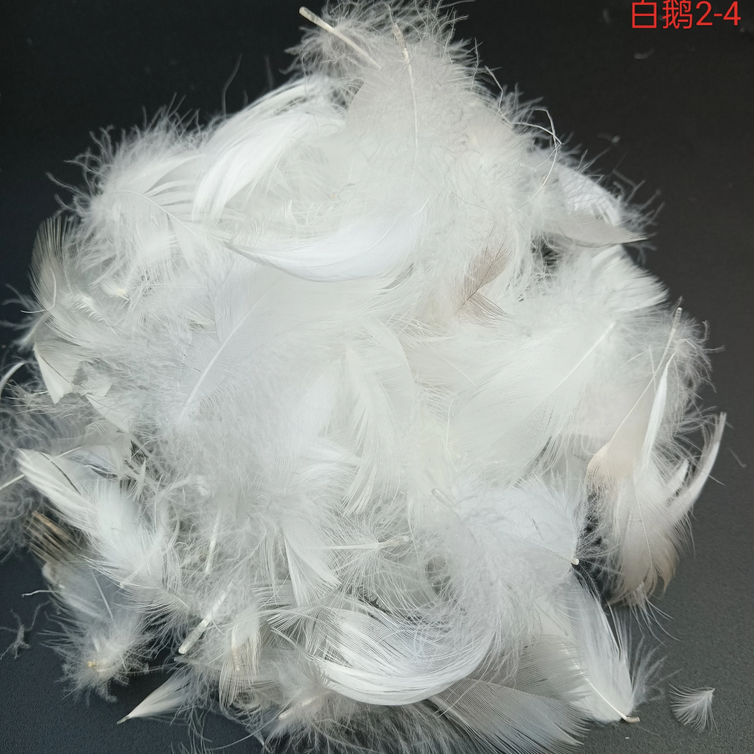 High Quality White Goose down Quilt Filling Premium Clothing Filling Raw Materials Wholesale Offer