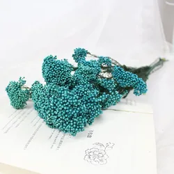 wholesale modern arrangement natural ozothamnus preserved rice flower for mother day flower