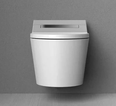 European Standard Bathroom Buttocks Washing Smart Toilet Seat Cover, Toilet Seats, Electronic Toilet Seat