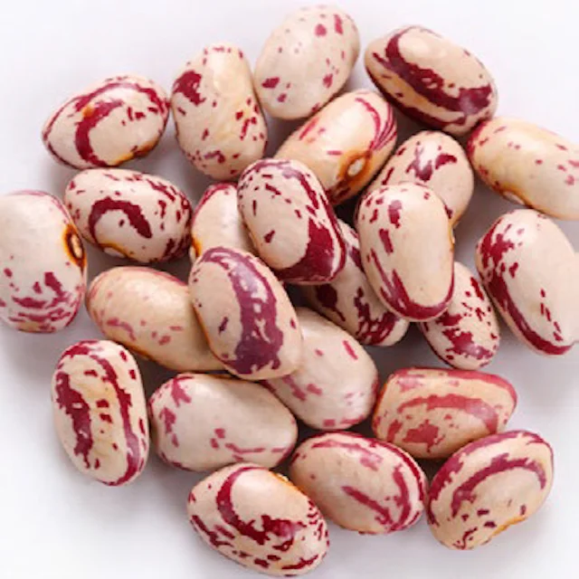 Распродажа 2021 розовая фасоль новый урожай оптовая продажа Органическая сушеная жареная для продажи легкая зернистая