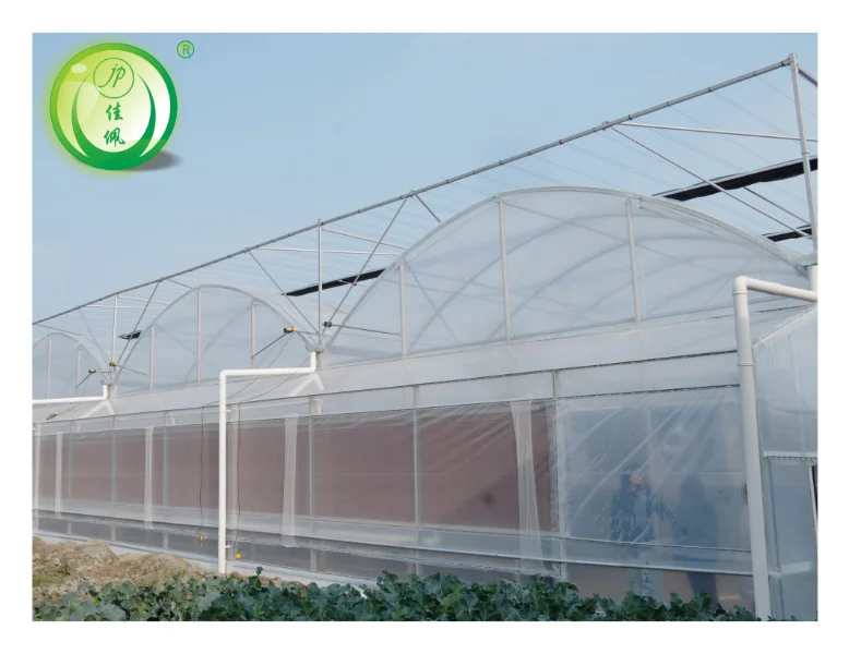 Agricultural Vegetable Growing Green House Multi-span PE Plastic Film Greenhouses Poly tunnel greenhouse with irrigation system