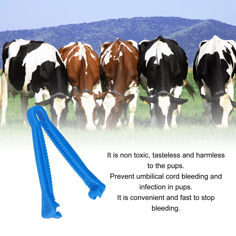 Disposable Medical Consumables Plastic Umbilical Cord Clamp