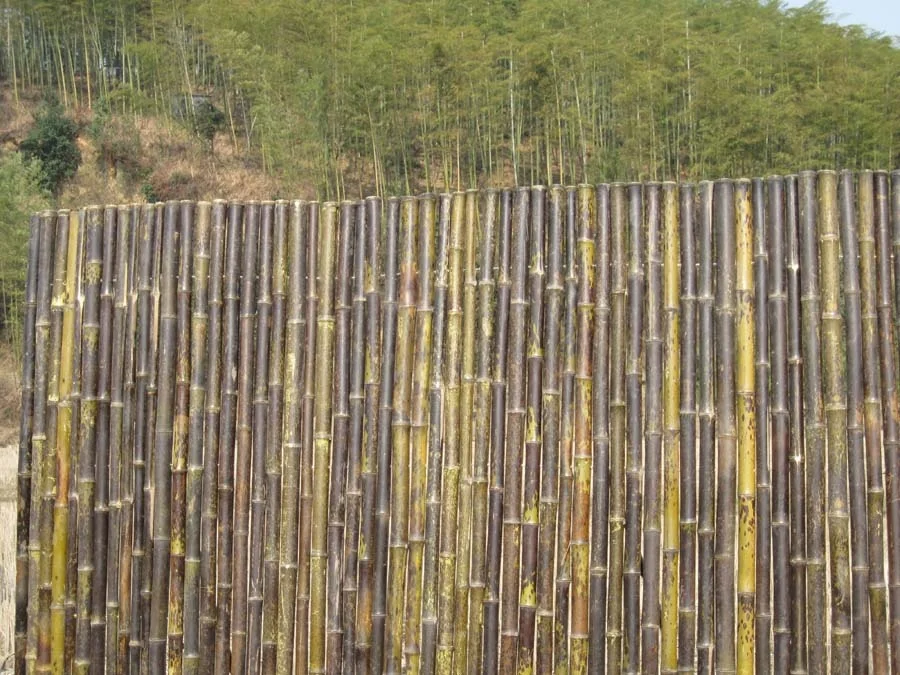 Spotted Roll Fences !! Special !!! ZY-2009 Tiger Bamboo Garden Fence Panels 3 Foot Heat Treated Pressure Treated Wood Type