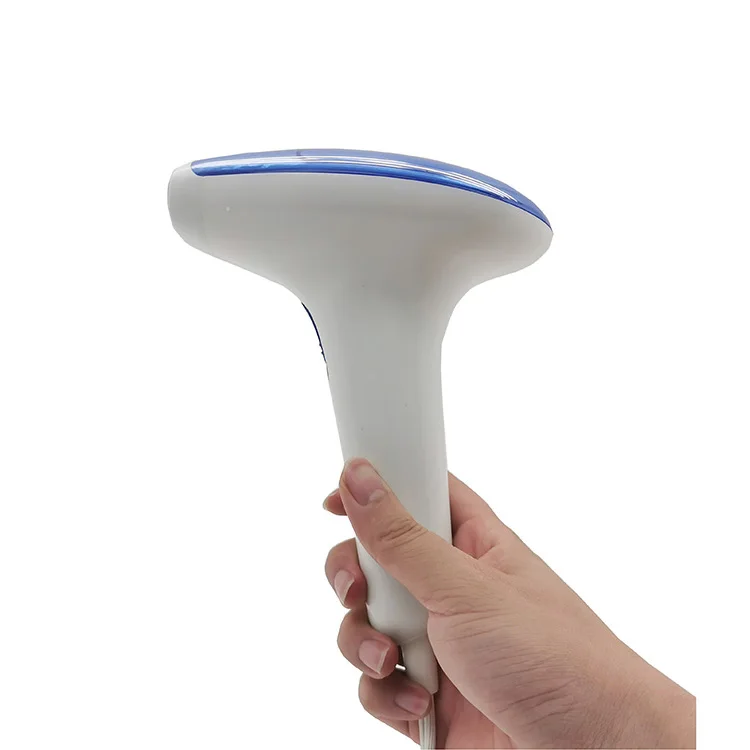 Travel Portable Cloth Iron Fabric Garment Steamer 220V Garment Steamer