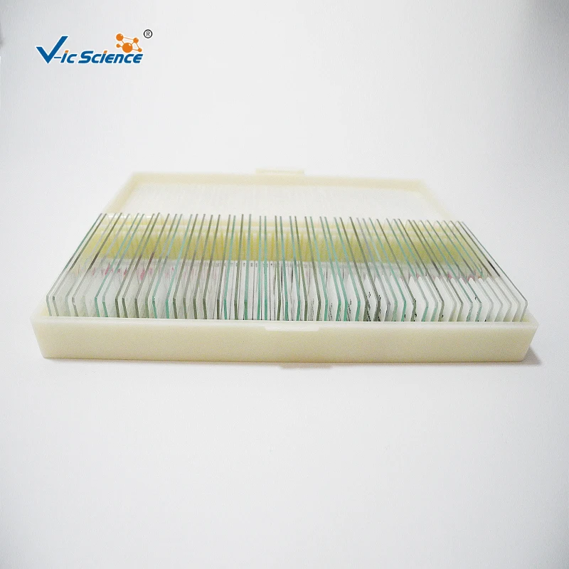 Microscope Pathology Slides Medical 50 Kinds Medical Educational Biology Teaching Slide Human Pathology Professional Slide