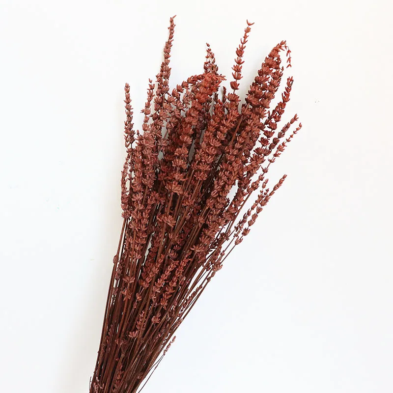 Yunnan Wholesale Dried Lavender Preserved Lavender Flowers for Home and Wedding Flower Decoration
