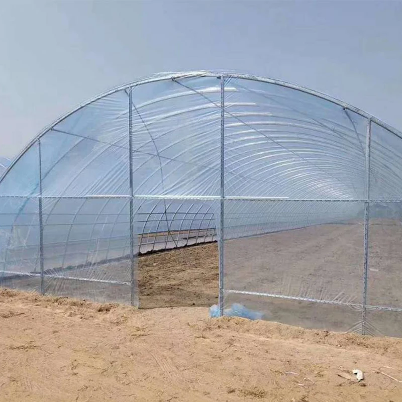 Agricultural Commercial Greenhouse Cheapest Plastic Tunnel Greenhouse For Sale