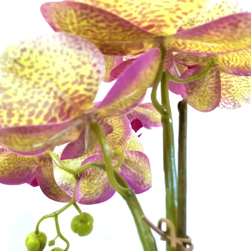 Artificial Real Touch Orchids Flowers Latex Phalaenopsis Stems For Wedding Centerpieces Living Room Home Decoration