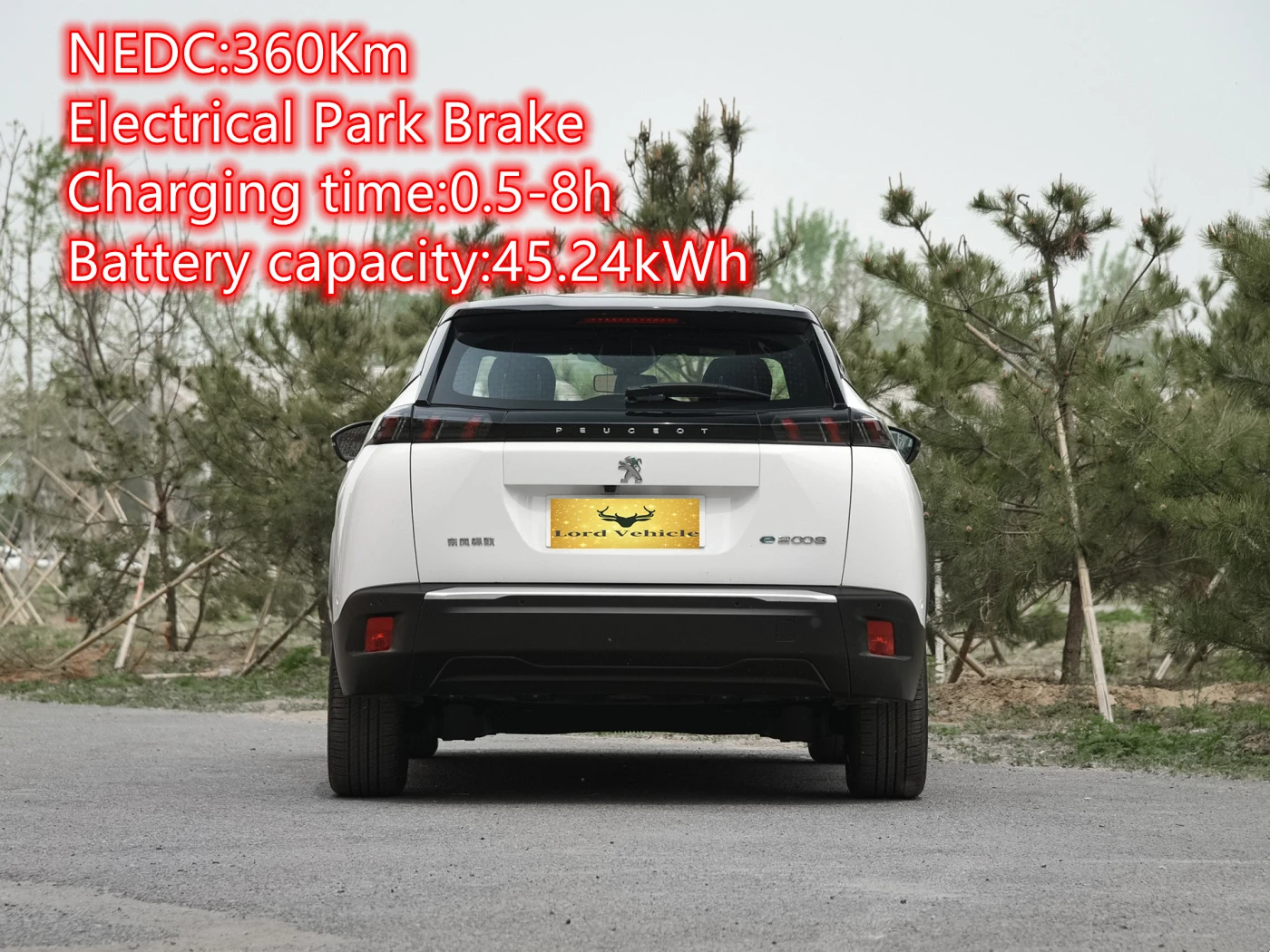 New energy car with factory price Long range ev with fast charging China electric vehicle PEUGEOT-E-2008