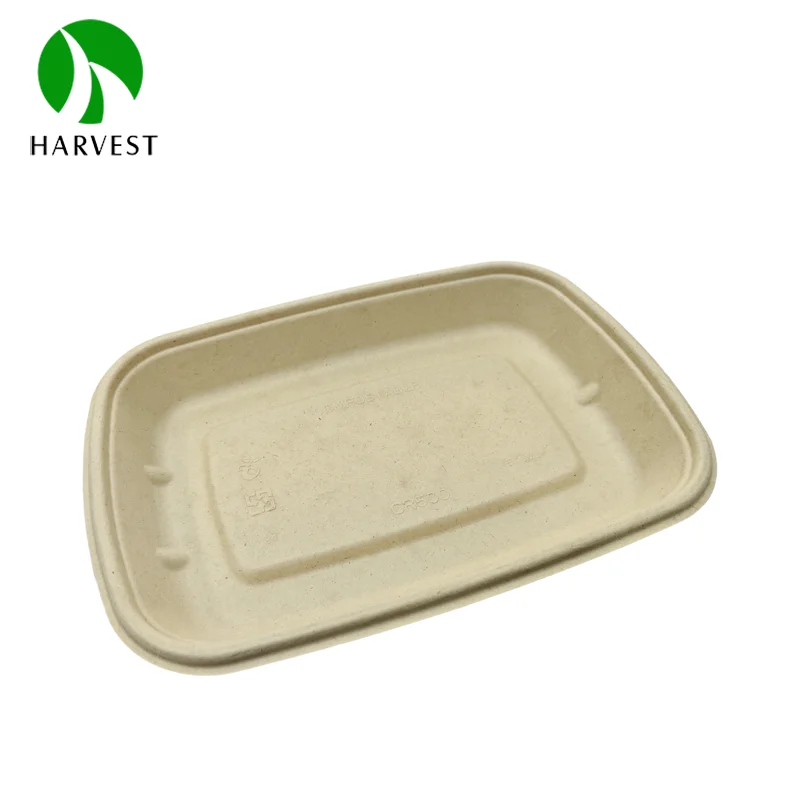 500ml Biodegradable Bagasse Pulp Container for Takeaway Food Paper Boxes Genre