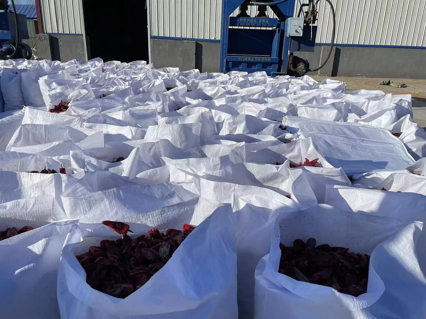 Wholesale Red Chili Crushedred pepper Flake Quality dry red chilli Dried Food Baked 5000-20000SHU