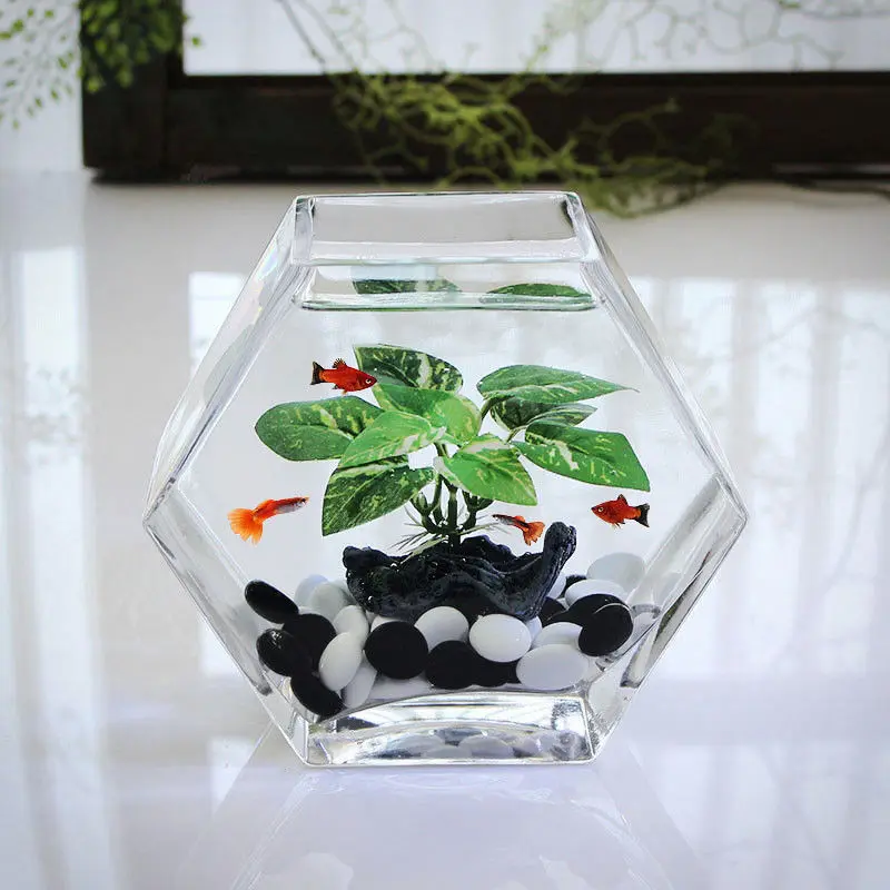 Manufacturer Customized Large 20 gl Fish Holding Tank Aquarium For Cube Fish Glass Tank