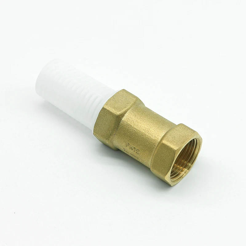 BT5003 high quality brass vertical spring check valve