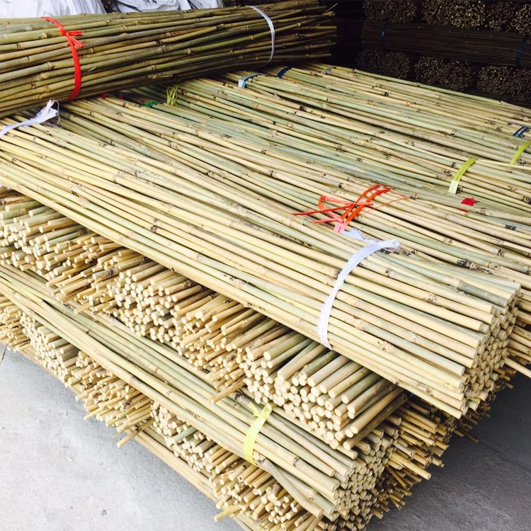 Winslow & Ross wholesale plant support stakes bamboo garden stakes natural bamboo flower sticks